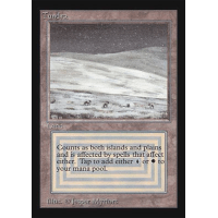 Tundra Tundra